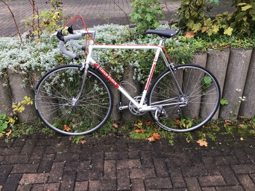 Rennrad ciclo piave stahl - rennrad,