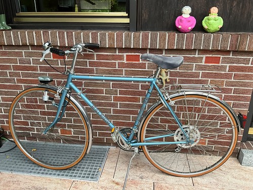 Herrenfahrrad raleigh rialto - herrenfahrrad,,